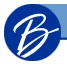 Name Of Company :Boscov's
